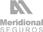 Meridional Seguros